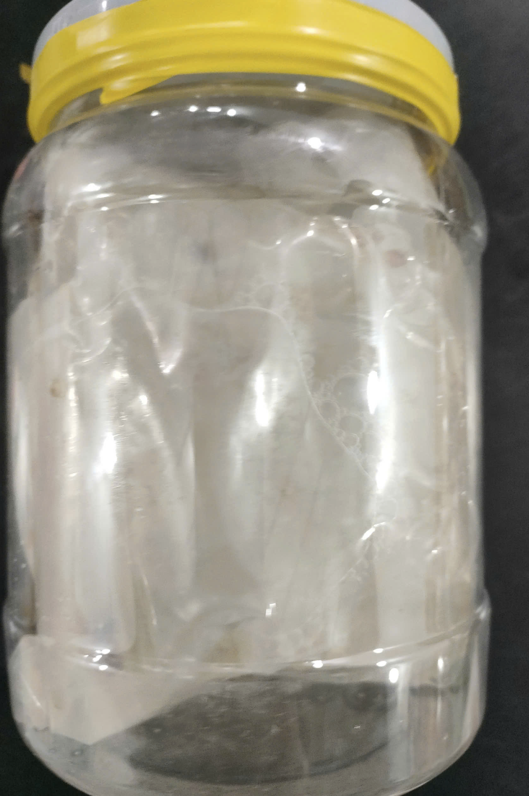 Sứa PhanhLee 1.3kg